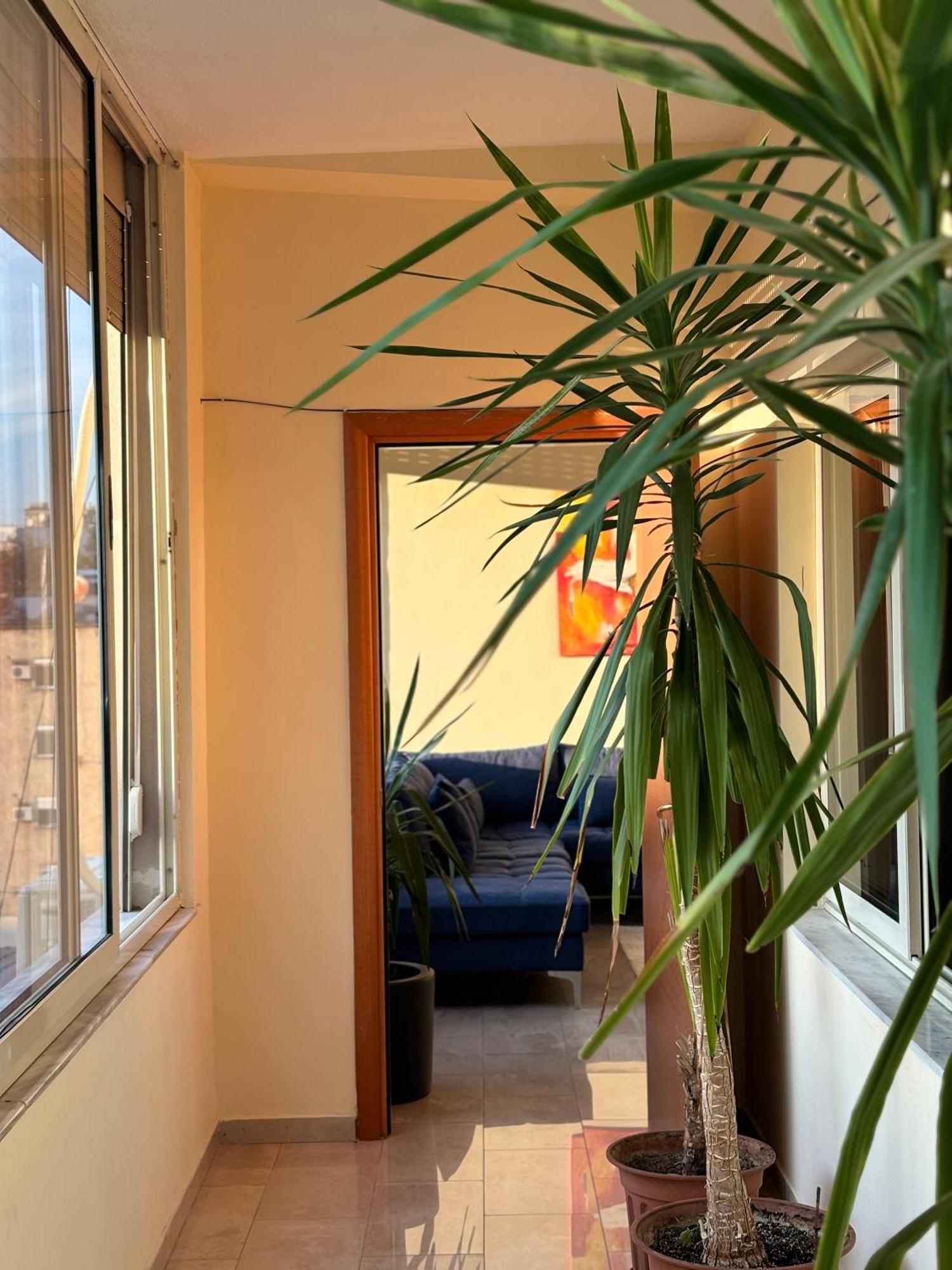 Tam 2Bdr Center Taiwan Apartment Tirana Zewnętrze zdjęcie