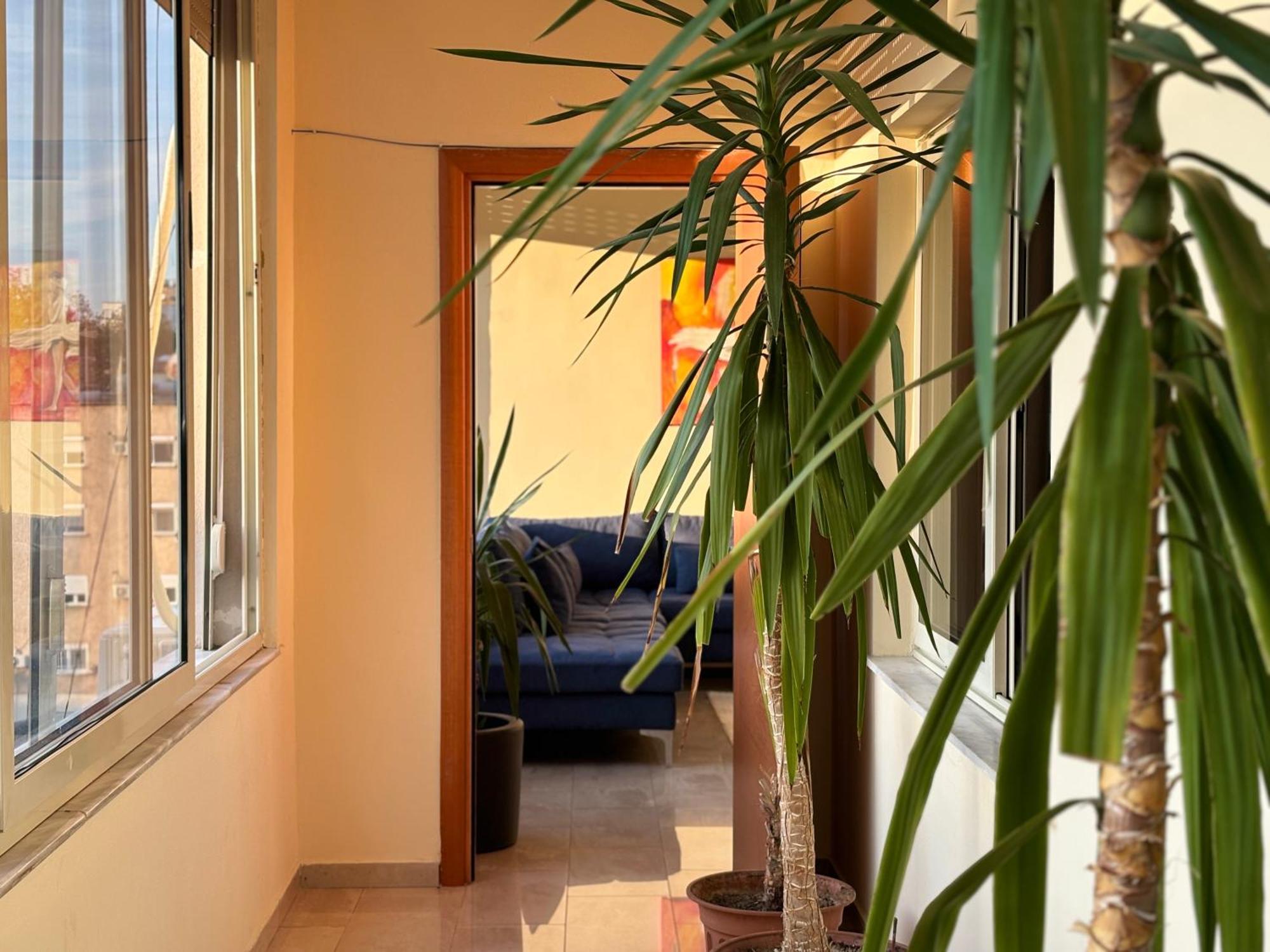 Tam 2Bdr Center Taiwan Apartment Tirana Zewnętrze zdjęcie